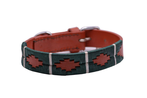 Dog Collar Compostela